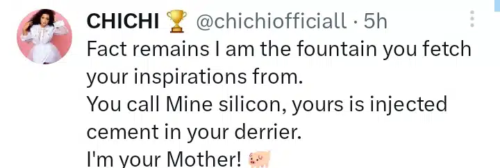 “You call mine silicone, but yours is injected with cement” – Chichi fires back at Phyna
