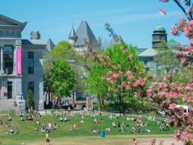 McGill University Scholarhips 2024/2025, Canada